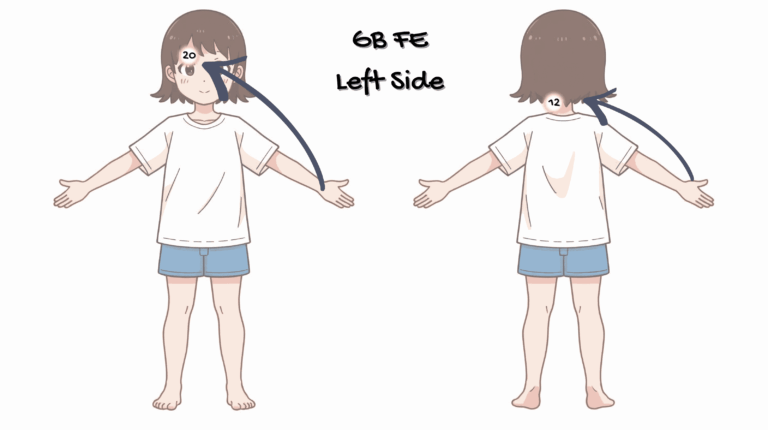 Read more about the article Gall Bladder FE Harmonization for Cold Extremities?