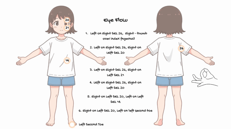 Read more about the article The Eye Flow